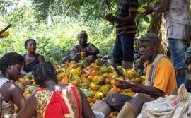 science-journalism-ghana-agriculture